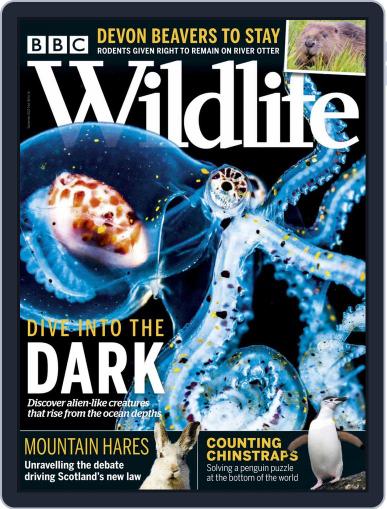 Bbc Wildlife September 1st, 2020 Digital Back Issue Cover