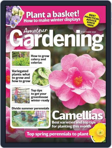 Amateur Gardening October 17th, 2020 Digital Back Issue Cover