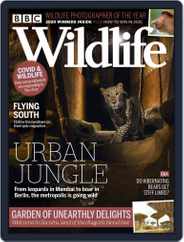 Bbc Wildlife (Digital) Subscription                    November 1st, 2020 Issue
