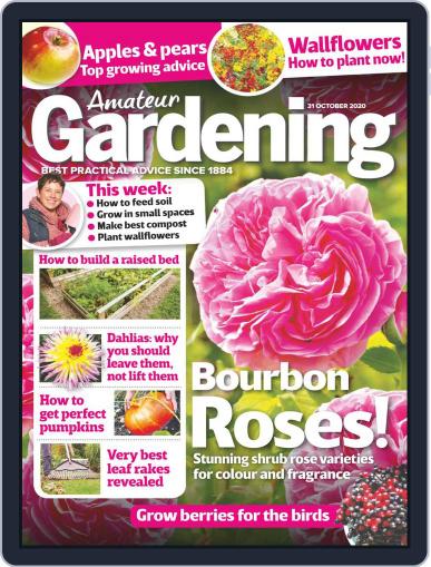 Amateur Gardening October 31st, 2020 Digital Back Issue Cover