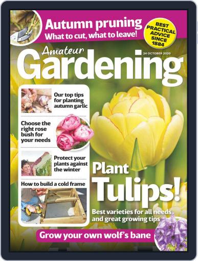 Amateur Gardening October 24th, 2020 Digital Back Issue Cover