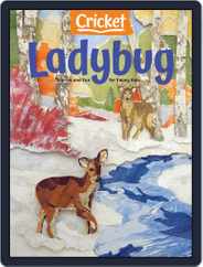 Ladybug Stories, Poems, And Songs Magazine For Young Kids And Children (Digital) Subscription                    November 1st, 2020 Issue