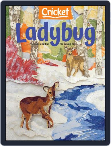 Ladybug Stories, Poems, And Songs Magazine For Young Kids And Children November 1st, 2020 Digital Back Issue Cover