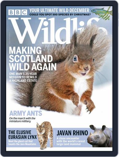 Bbc Wildlife (Digital) December 1st, 2020 Issue Cover