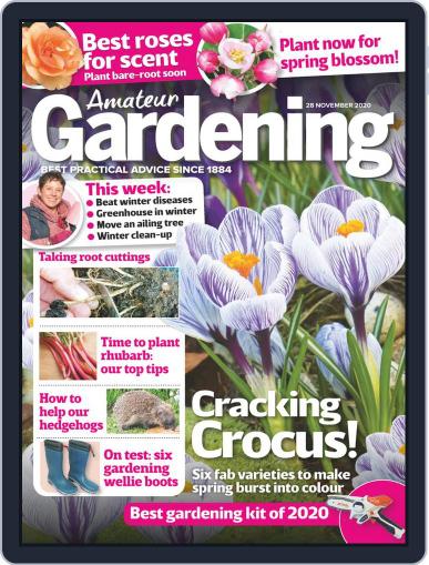 Amateur Gardening November 28th, 2020 Digital Back Issue Cover