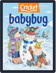 Babybug Stories, Rhymes, and Activities for Babies and Toddlers (Digital) Subscription                    January 1st, 2021 Issue