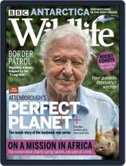 Bbc Wildlife (Digital) Subscription                    February 1st, 2021 Issue