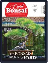 Esprit Bonsai (Digital) Subscription                    February 1st, 2021 Issue
