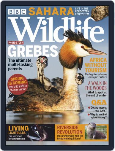Bbc Wildlife March 1st, 2021 Digital Back Issue Cover