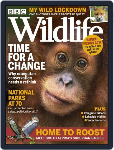 Bbc Wildlife April 1st, 2021 Digital Back Issue Cover