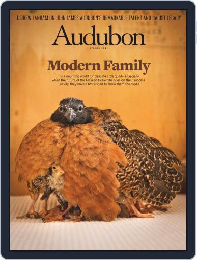 Audubon February 28th, 2021 Digital Back Issue Cover