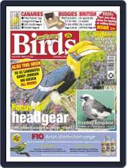 Cage & Aviary Birds (Digital) Subscription                    March 24th, 2021 Issue