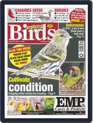 Cage & Aviary Birds (Digital) Subscription                    March 17th, 2021 Issue