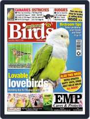 Cage & Aviary Birds (Digital) Subscription                    March 31st, 2021 Issue