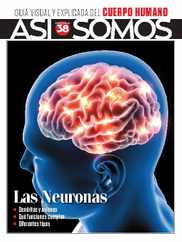 Así Somos - El cuerpo humano Magazine (Digital) Subscription                    May 15th, 2024 Issue