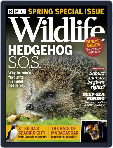 Bbc Wildlife April 2nd, 2021 Digital Back Issue Cover