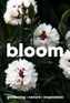 Bloom Digital Subscription