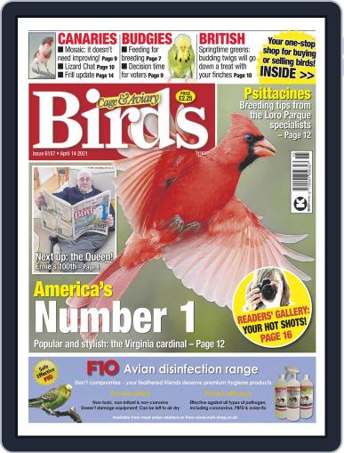 Cage & Aviary Birds April 14th, 2021 Digital Back Issue Cover