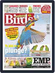 Cage & Aviary Birds (Digital) Subscription                    April 21st, 2021 Issue