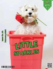 Little Sparkles Magazine (Digital) Subscription                    February 1st, 2024 Issue