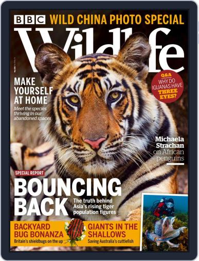 Bbc Wildlife May 1st, 2021 Digital Back Issue Cover