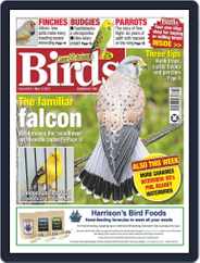 Cage & Aviary Birds (Digital) Subscription                    May 12th, 2021 Issue