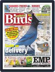 Cage & Aviary Birds (Digital) Subscription                    May 19th, 2021 Issue