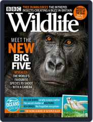Bbc Wildlife (Digital) Subscription                    June 1st, 2021 Issue