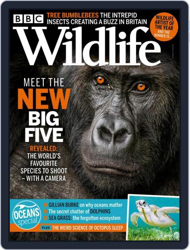 Bbc Wildlife June 1st, 2021 Digital Back Issue Cover
