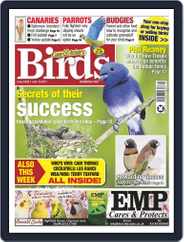 Cage & Aviary Birds (Digital) Subscription                    June 16th, 2021 Issue