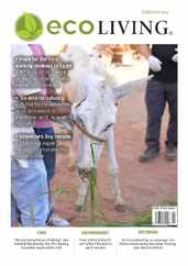 Eco Living Magazine (Digital) Subscription                    February 1st, 2024 Issue