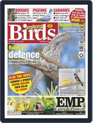 Cage & Aviary Birds (Digital) Subscription                    June 30th, 2021 Issue
