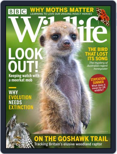 Bbc Wildlife July 1st, 2021 Digital Back Issue Cover