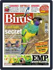 Cage & Aviary Birds (Digital) Subscription                    July 7th, 2021 Issue