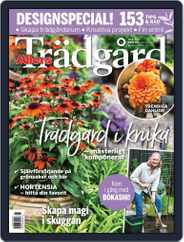 Allers Trädgård (Digital) Subscription                    August 1st, 2021 Issue