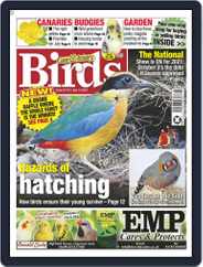 Cage & Aviary Birds (Digital) Subscription                    July 14th, 2021 Issue