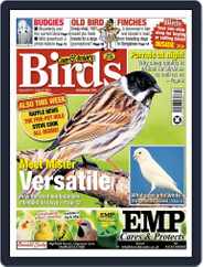 Cage & Aviary Birds (Digital) Subscription                    July 21st, 2021 Issue