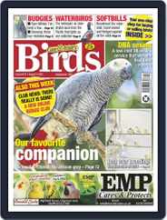 Cage & Aviary Birds (Digital) Subscription                    August 4th, 2021 Issue