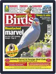 Cage & Aviary Birds (Digital) Subscription                    August 11th, 2021 Issue