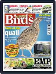 Cage & Aviary Birds (Digital) Subscription                    August 18th, 2021 Issue