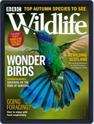 Bbc Wildlife (Digital) Subscription September 1st, 2021 Issue
