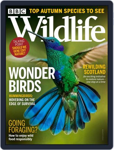 Bbc Wildlife September 1st, 2021 Digital Back Issue Cover