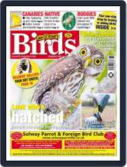 Cage & Aviary Birds (Digital) Subscription                    September 8th, 2021 Issue