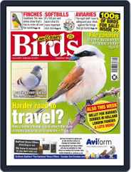 Cage & Aviary Birds (Digital) Subscription                    September 22nd, 2021 Issue
