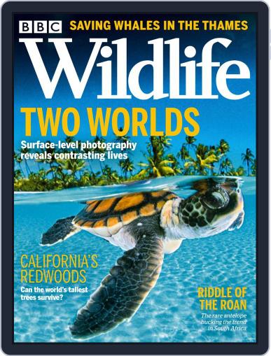 Bbc Wildlife October 1st, 2021 Digital Back Issue Cover