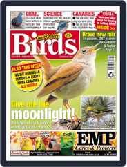 Cage & Aviary Birds (Digital) Subscription                    September 29th, 2021 Issue