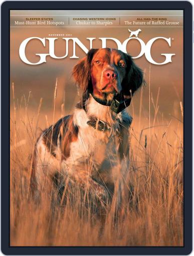 Gun Dog (Digital) November 1st, 2021 Issue Cover