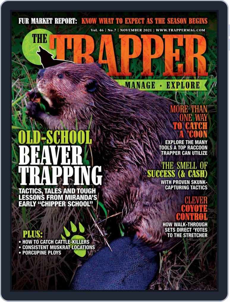 Spring Beaver Trapping TacticsTrapper Predator Caller