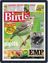 Cage & Aviary Birds (Digital) Subscription                    October 27th, 2021 Issue