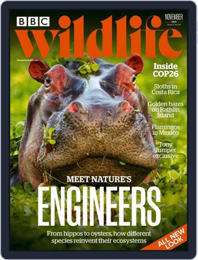 Bbc Wildlife November 1st, 2021 Digital Back Issue Cover